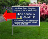 Gun Laws Funny Sign